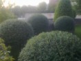 /album/realitzacio-imanteniment-de-jardins/imagen0351-jpg1/